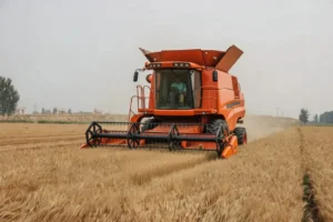 Moissonneuse-batteuse à grains